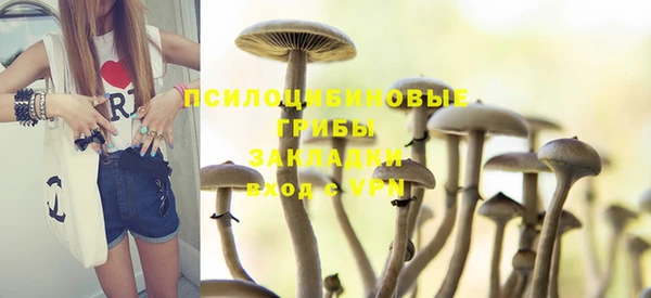 хмурый Арсеньев