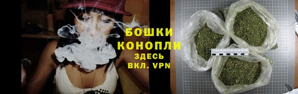 шишки Аркадак