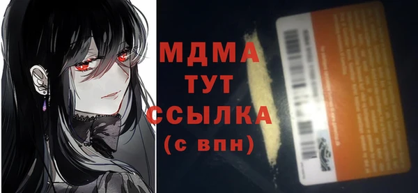 шишки Аркадак