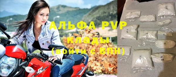 хмурый Арсеньев