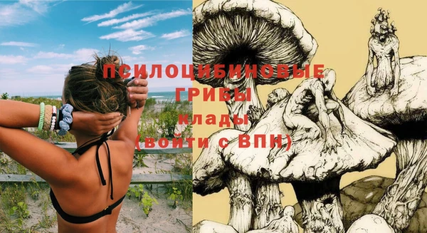хмурый Арсеньев