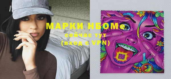 хмурый Арсеньев
