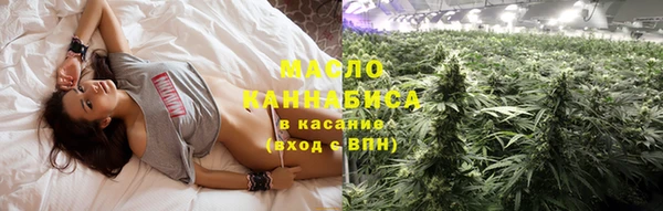 хмурый Арсеньев