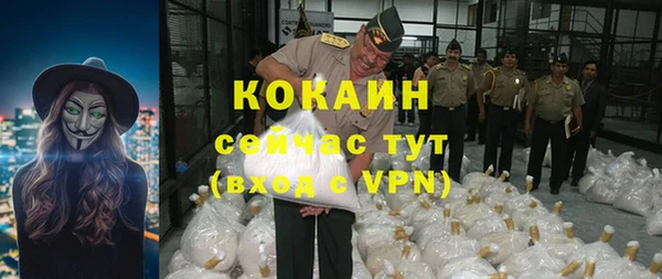 хмурый Арсеньев