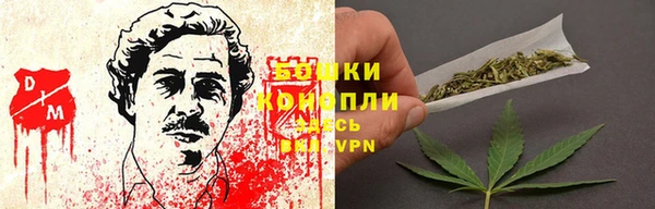 шишки Аркадак
