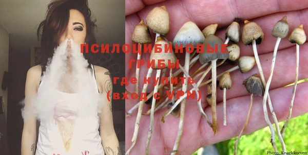 хмурый Арсеньев