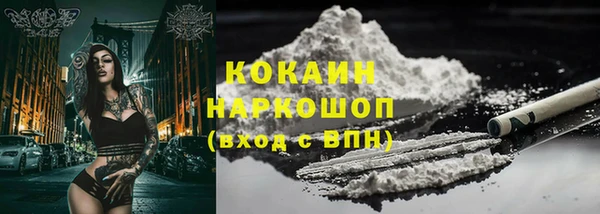 хмурый Арсеньев