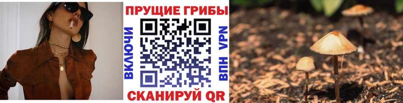 Галлюциногенные грибы Magic Shrooms  Кашин 
